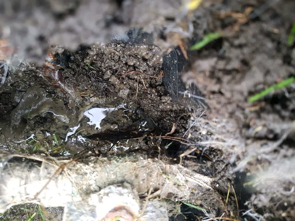 The photograph attached to this water supply report