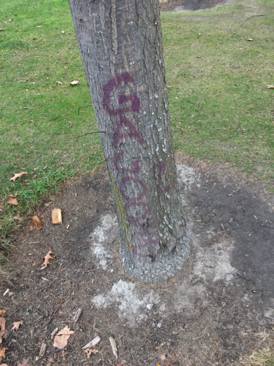 The photograph attached to this graffiti report