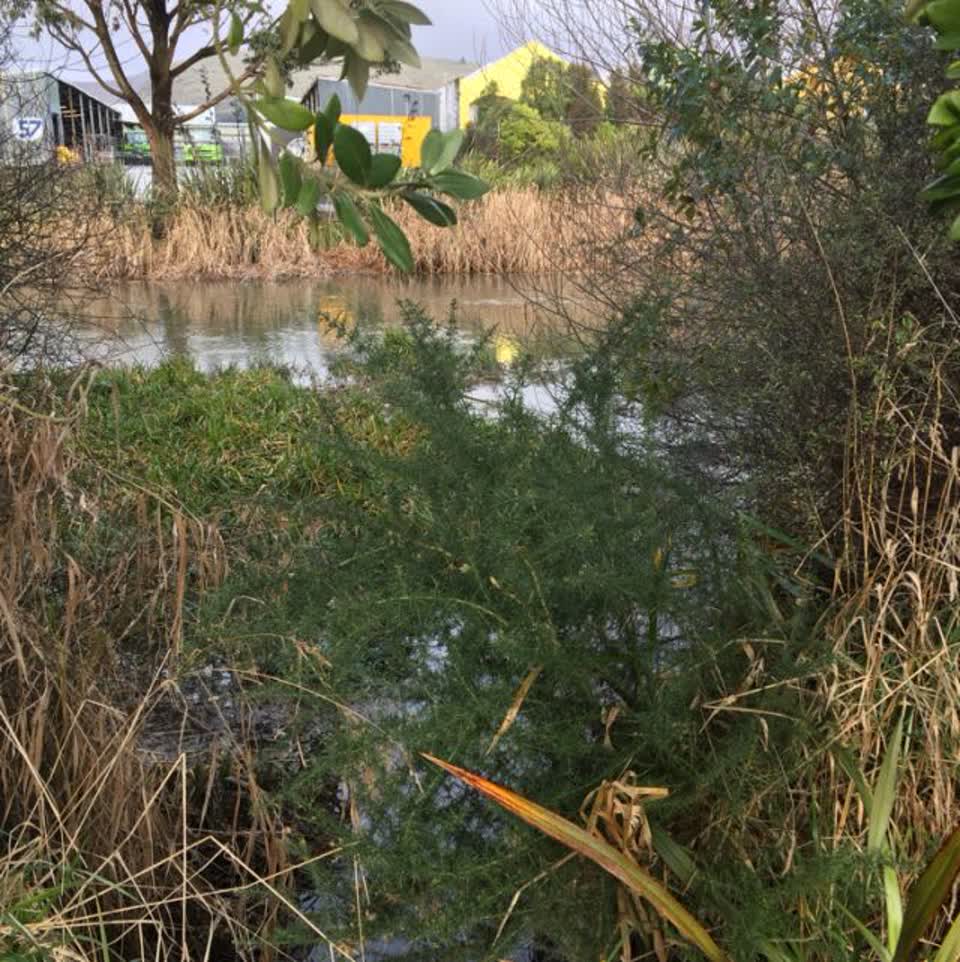 The photograph attached to this parks report