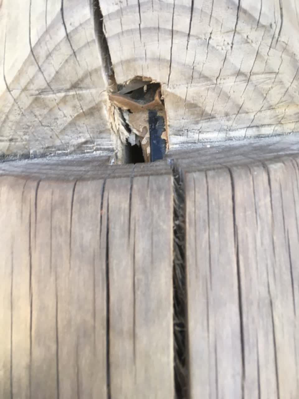 The photograph attached to this parks report