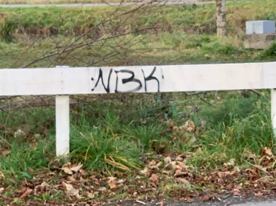 The photograph attached to this graffiti report