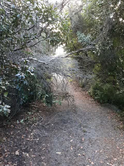 Parks, a report photo