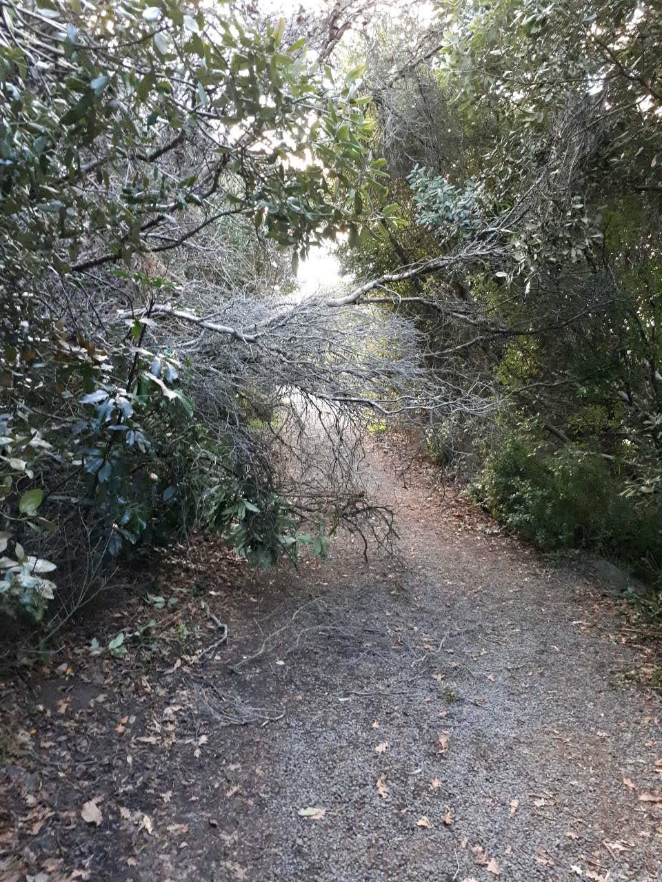 The photograph attached to this parks report