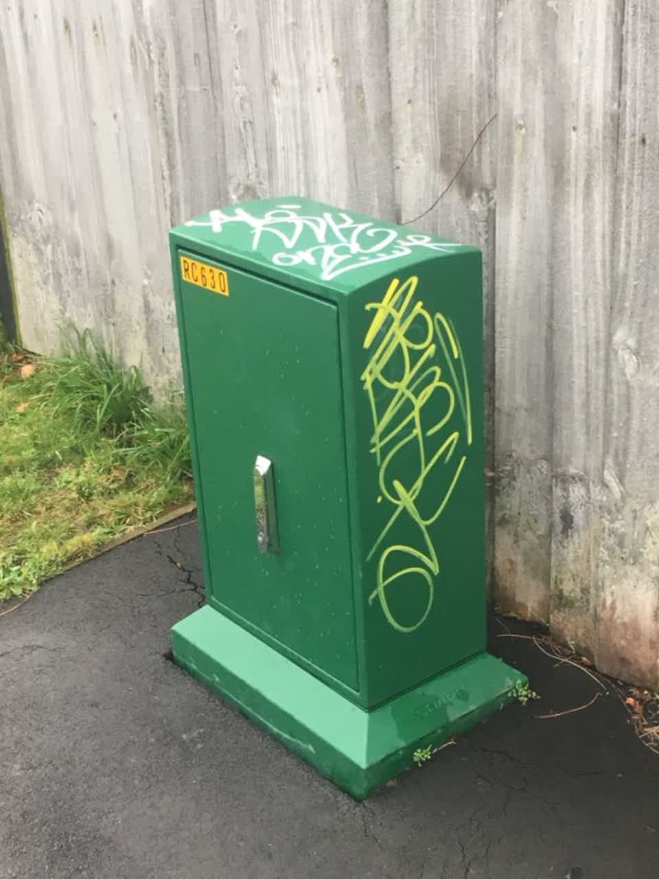 The photograph attached to this graffiti report