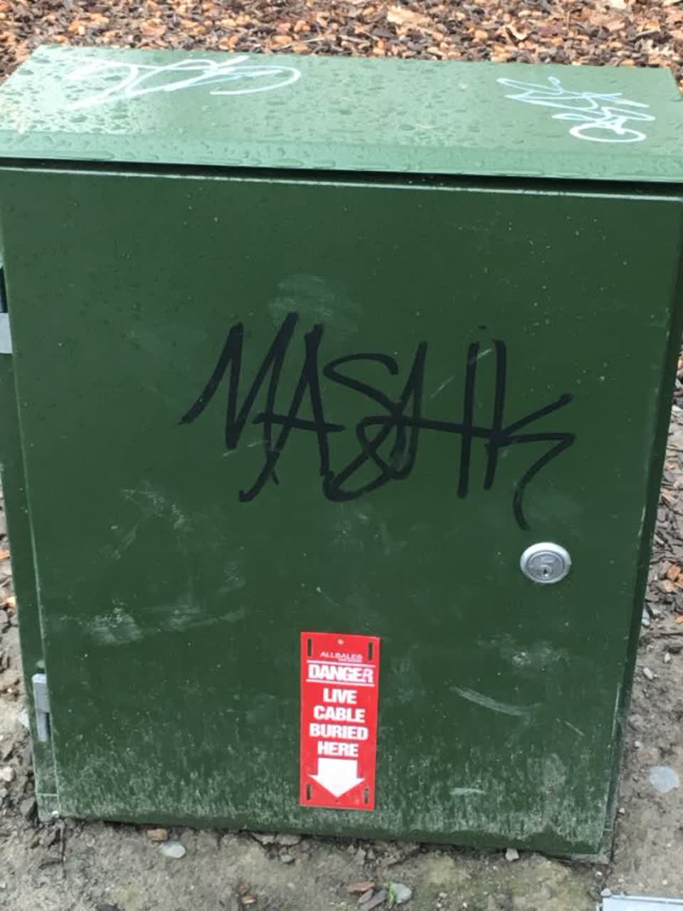 The photograph attached to this graffiti report
