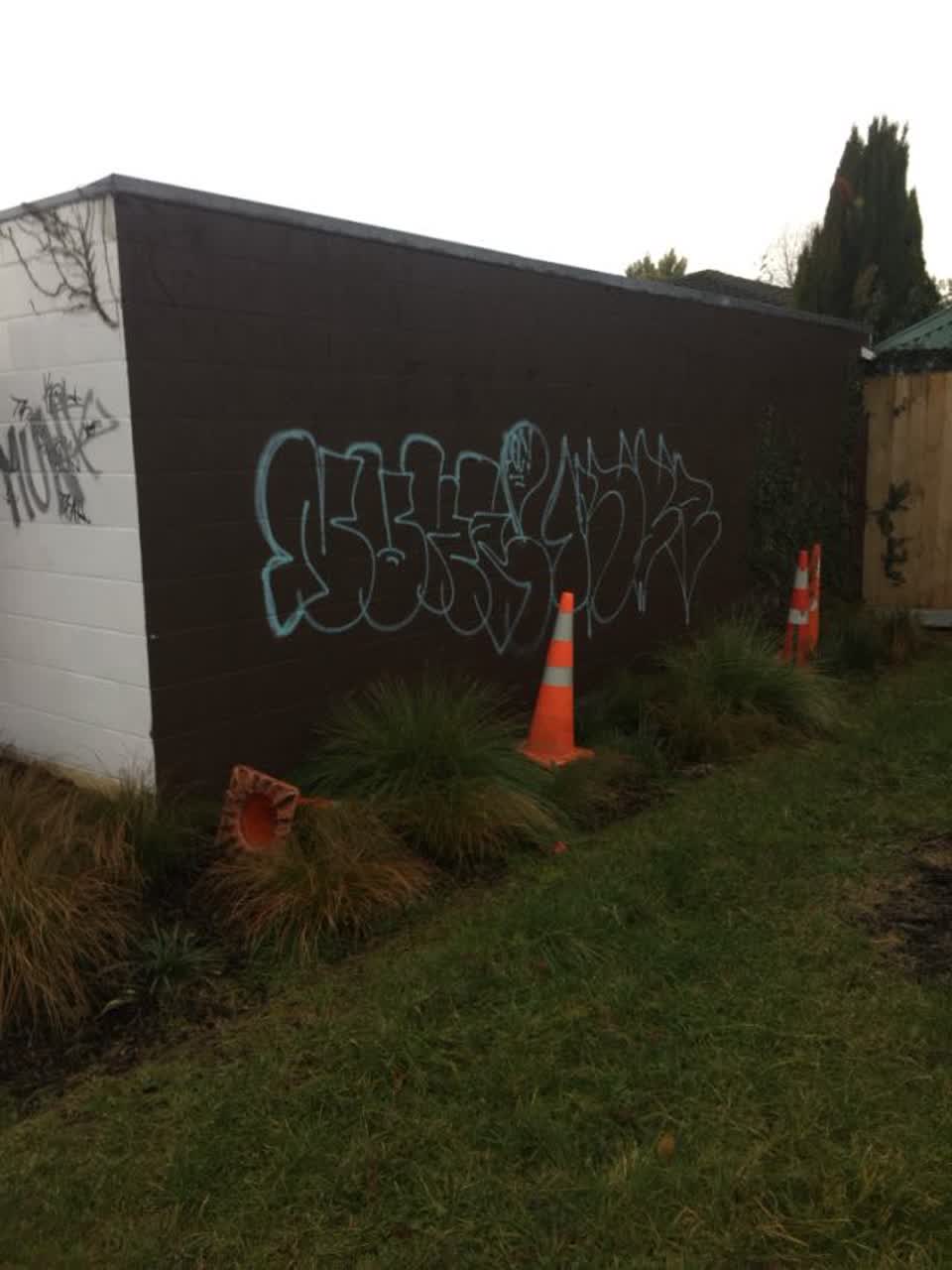 The photograph attached to this graffiti report