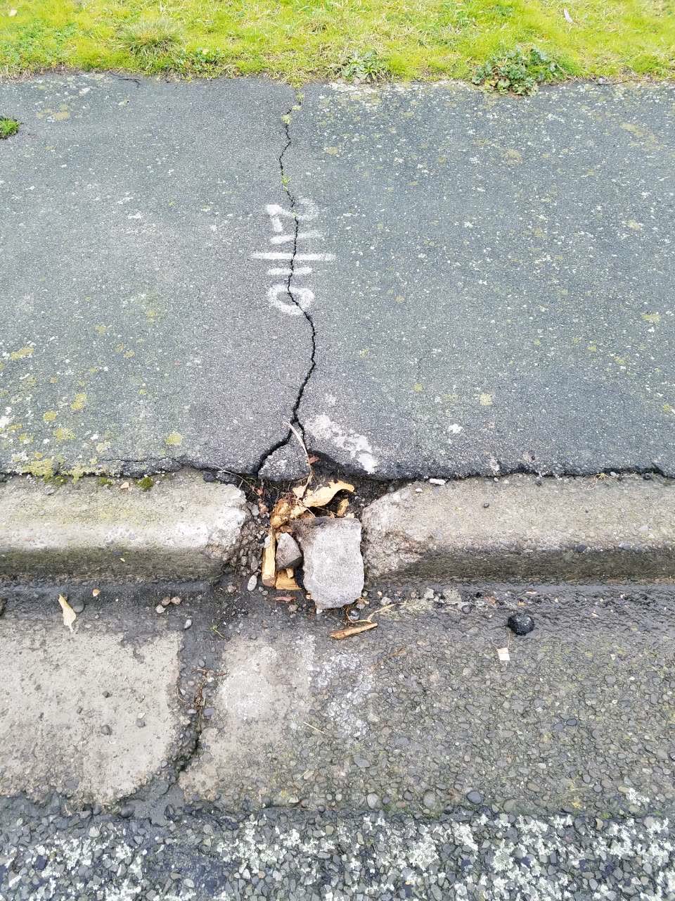 The photograph attached to this wastewater/stormwater report