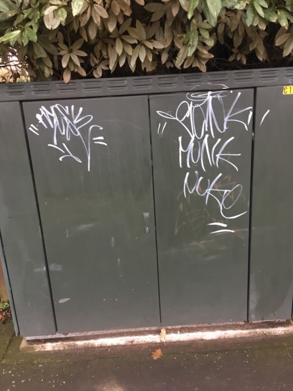 The photograph attached to this graffiti report