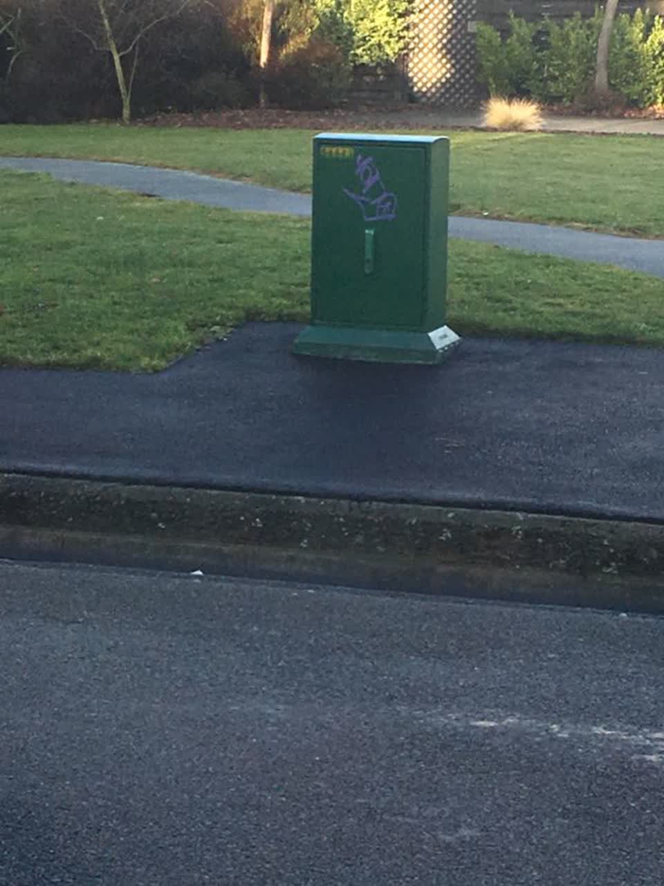 The photograph attached to this graffiti report