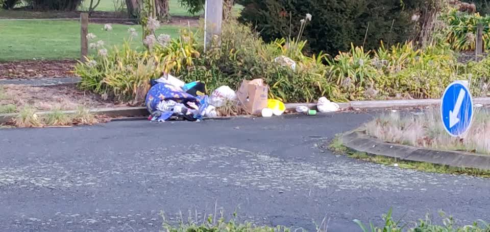 The photograph attached to this rubbish/recycling report