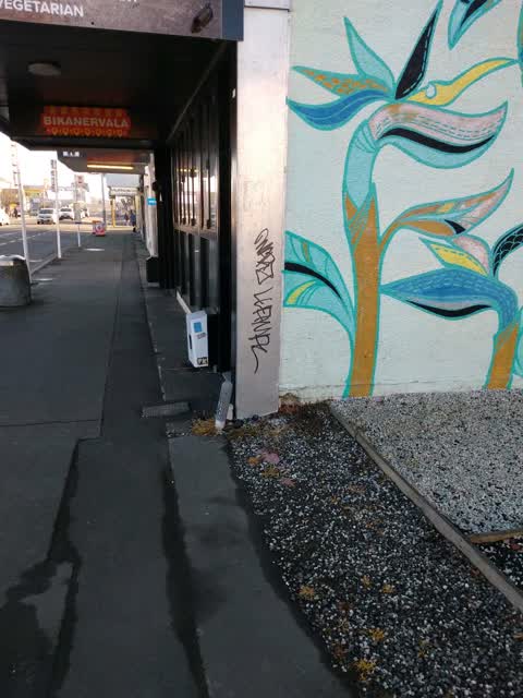Graffiti, a report photo