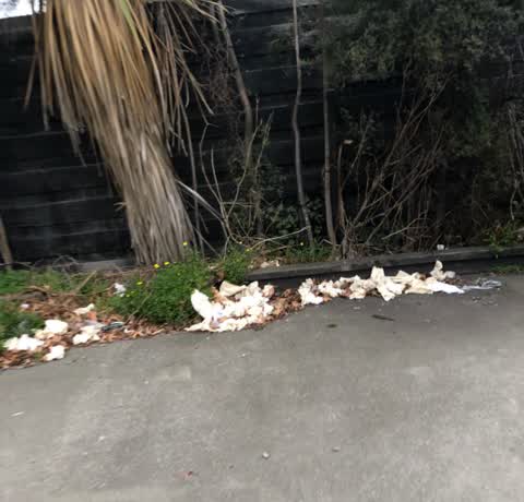 Rubbish/Recycling, a report photo