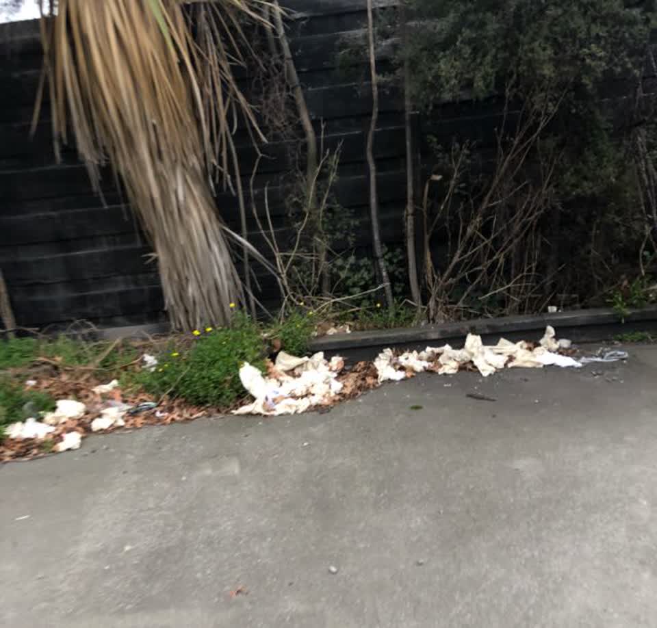 The photograph attached to this rubbish/recycling report