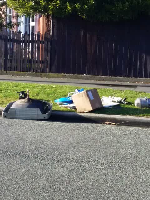 Rubbish/Recycling — a report photo