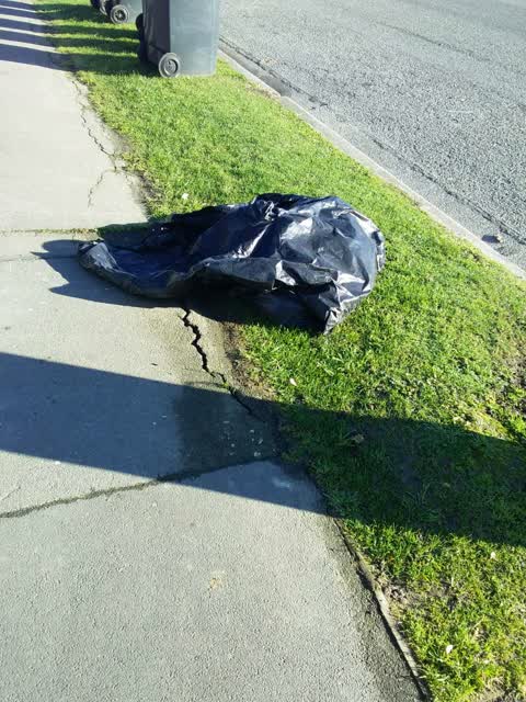 Rubbish/Recycling, a report photo
