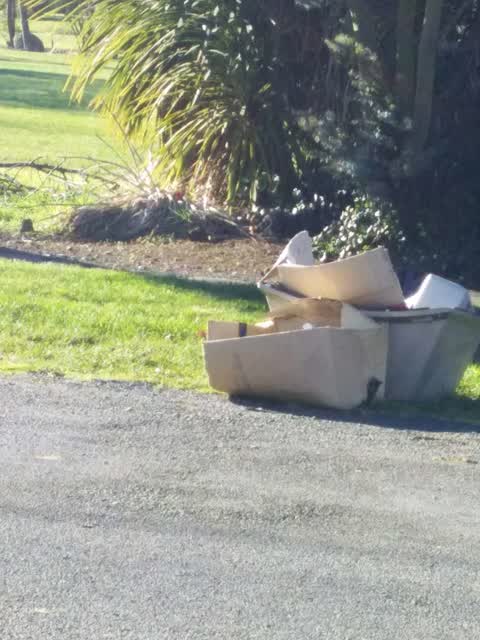 Rubbish/Recycling — a report photo