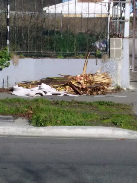 Rubbish/Recycling, a report photo
