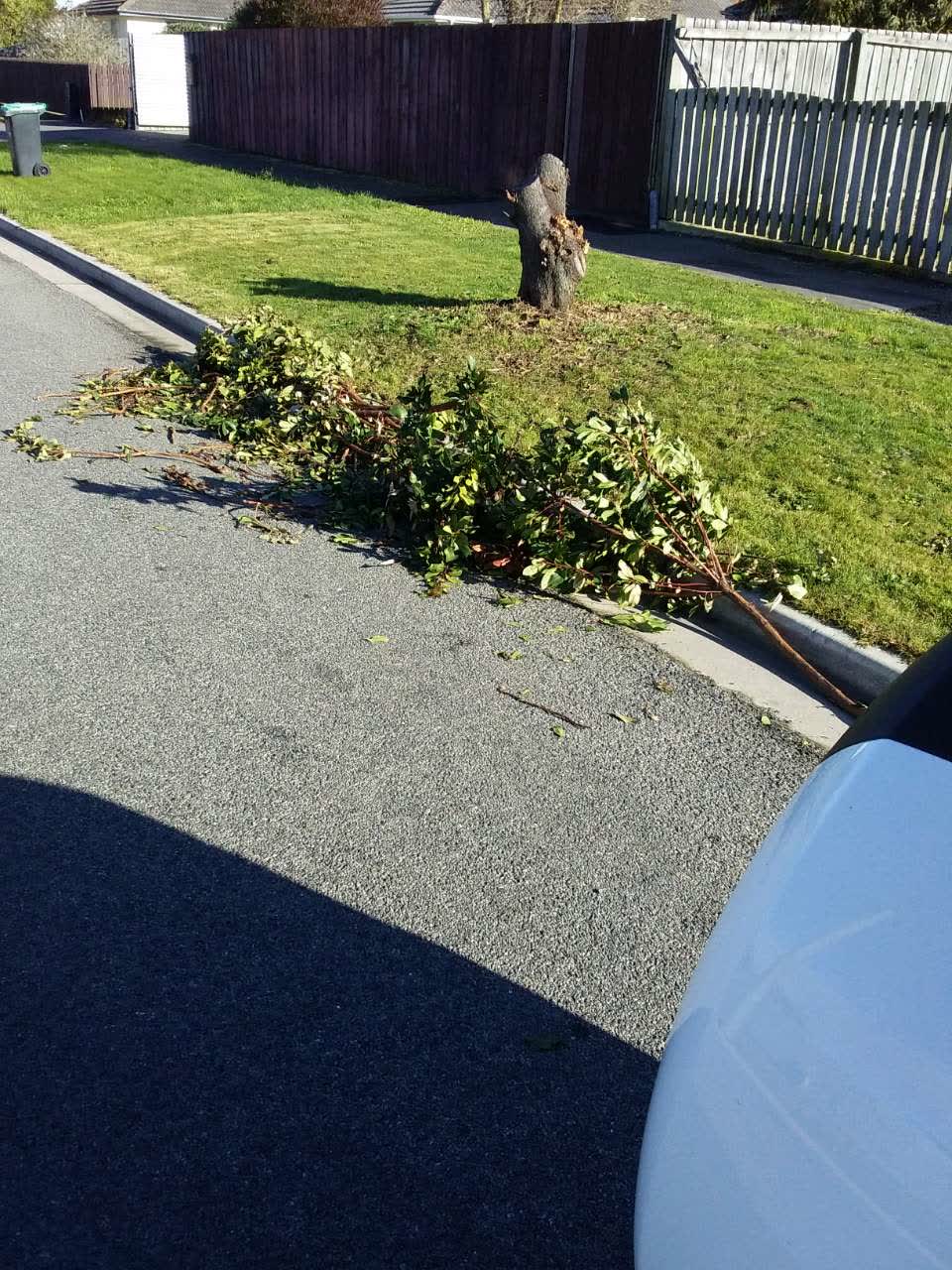 The photograph attached to this rubbish/recycling report