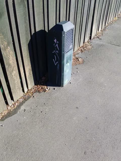 Graffiti, a report photo