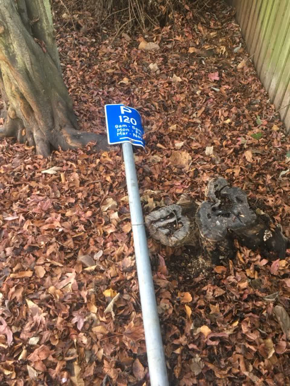 The photograph attached to this parks report