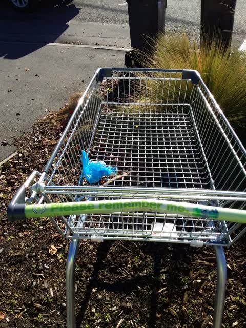 Rubbish/Recycling, a report photo