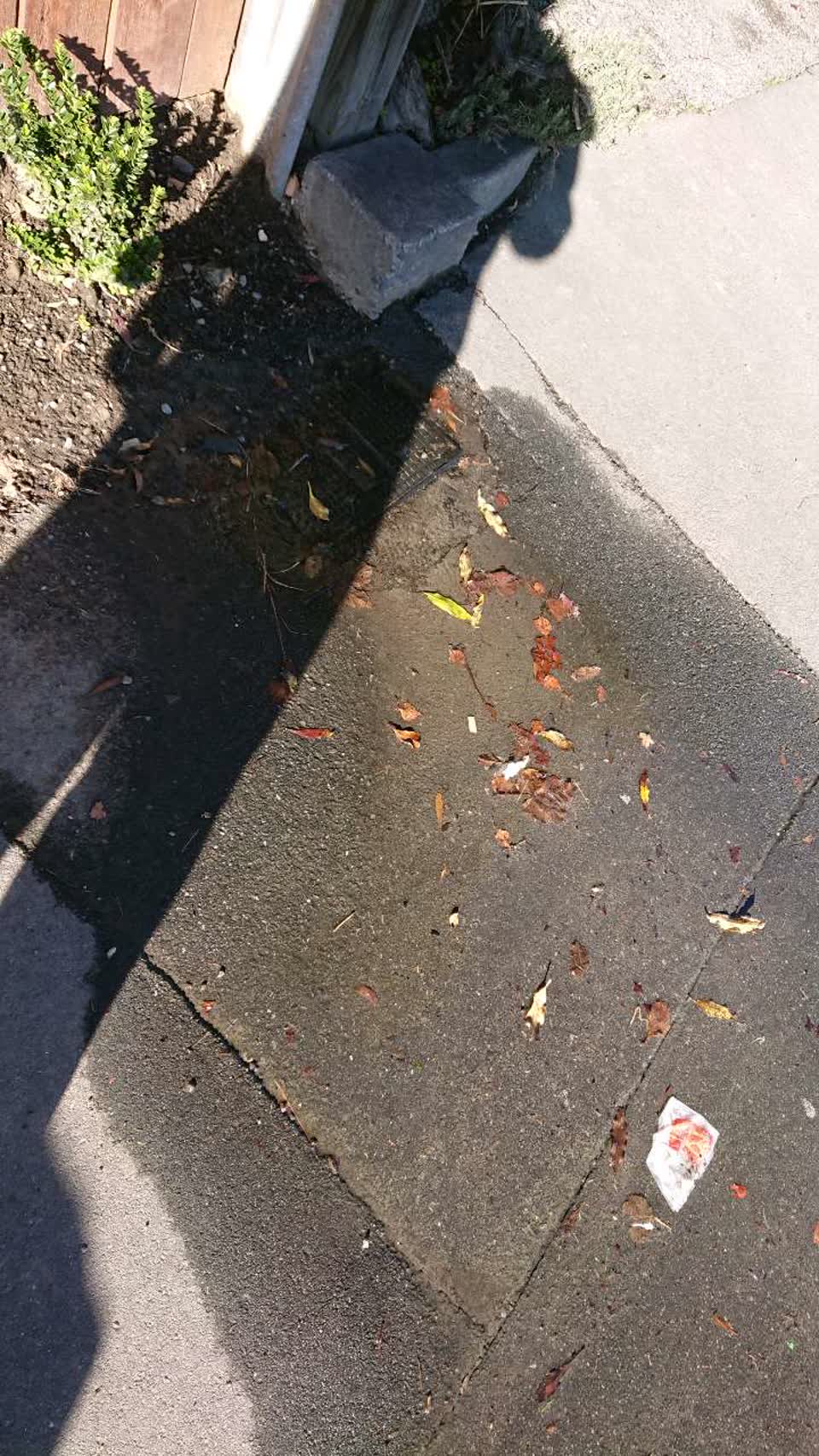 The photograph attached to this water supply report