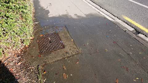 Water Supply, a report photo