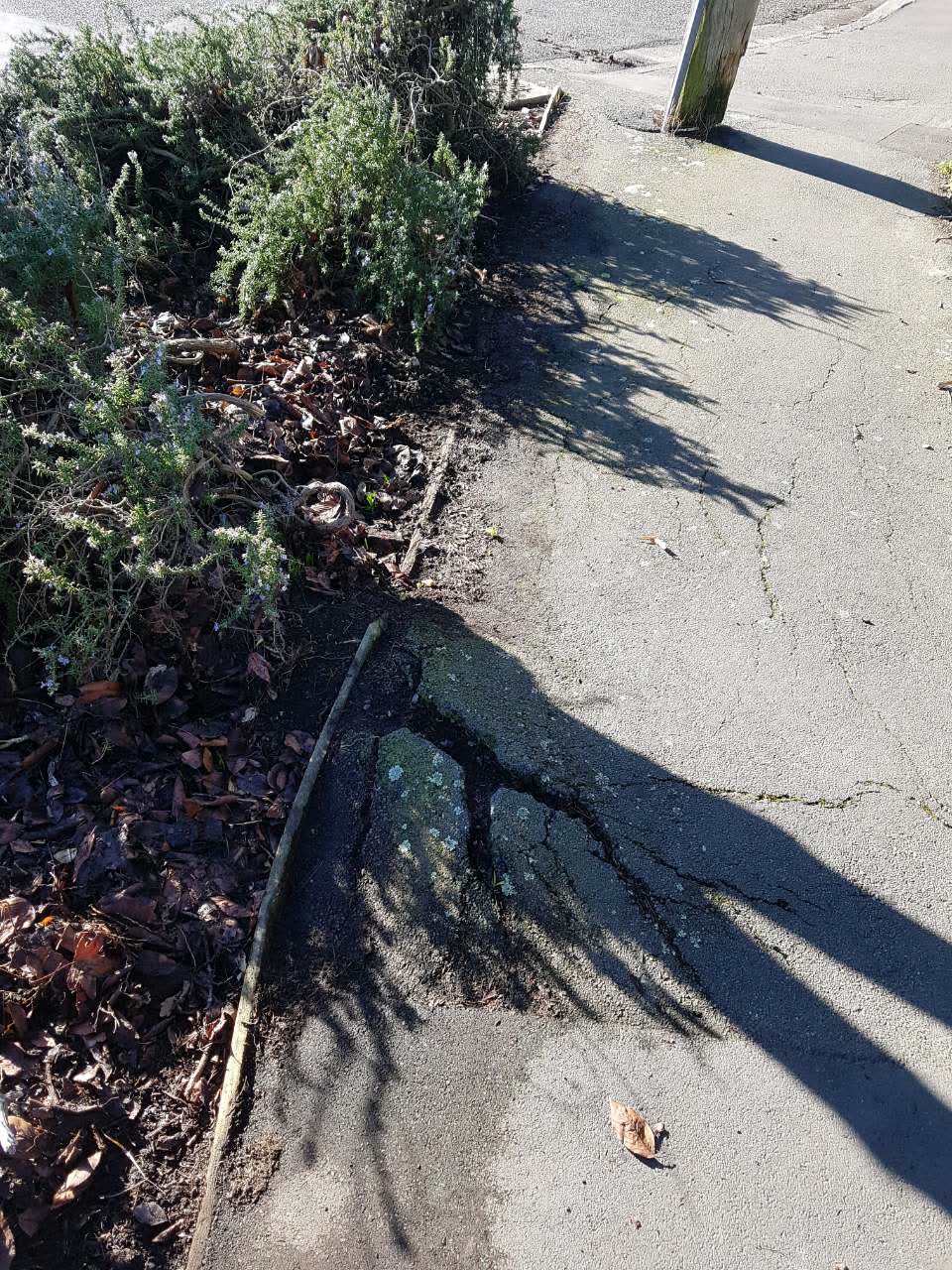 The photograph attached to this roading/streets report
