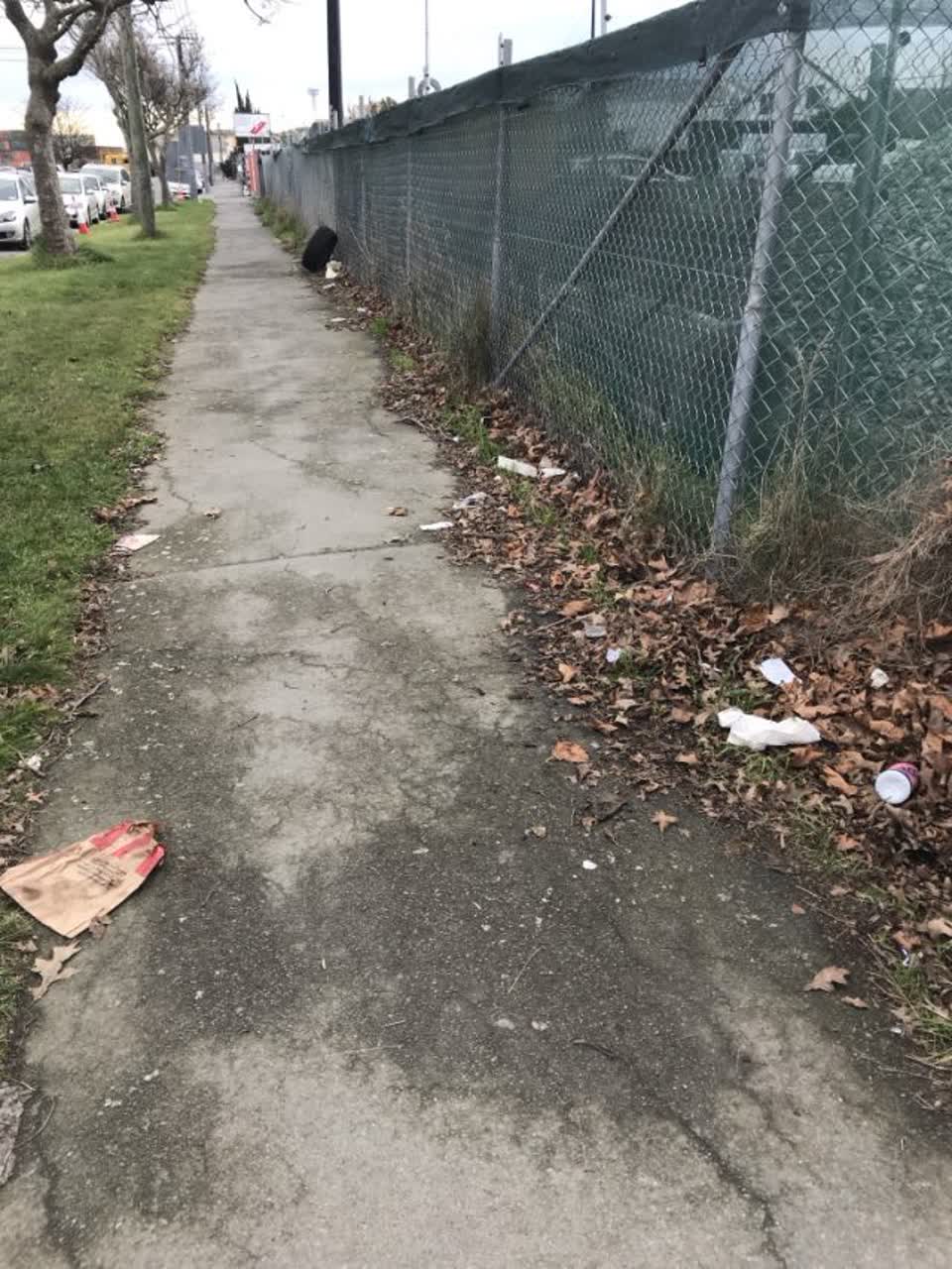The photograph attached to this rubbish/recycling report