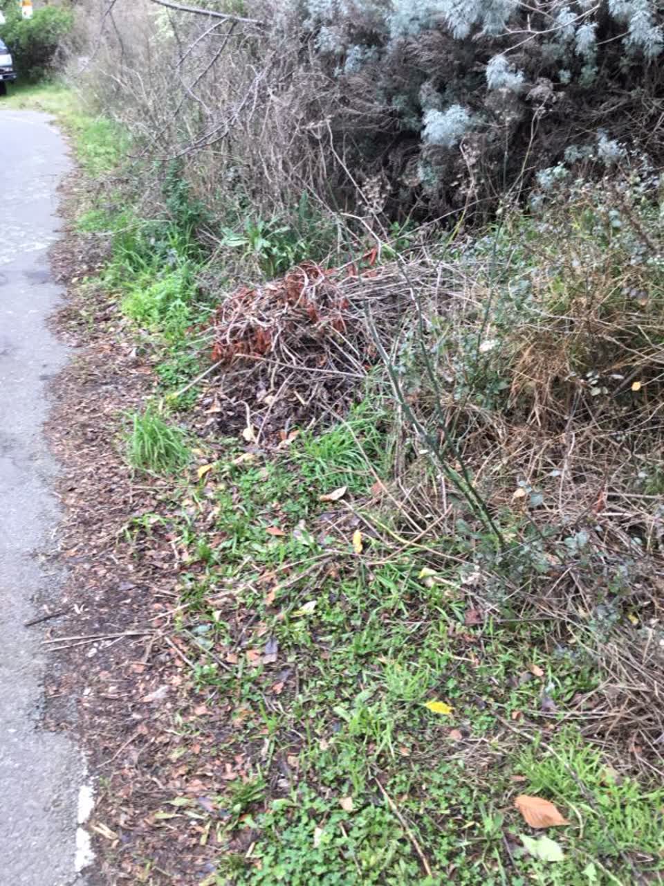 The photograph attached to this rubbish/recycling report