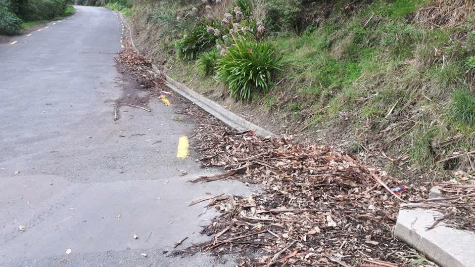 The photograph attached to this parks report