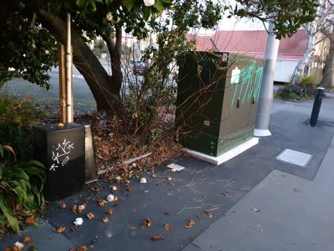 Graffiti — a report photo