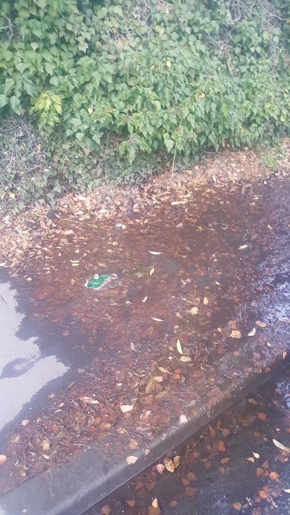 The photograph attached to this water supply report