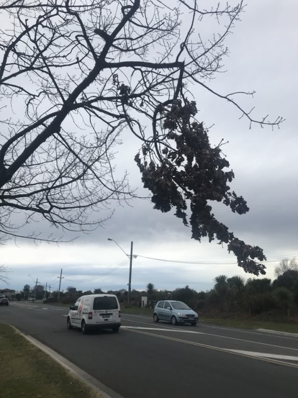 The photograph attached to this parks report