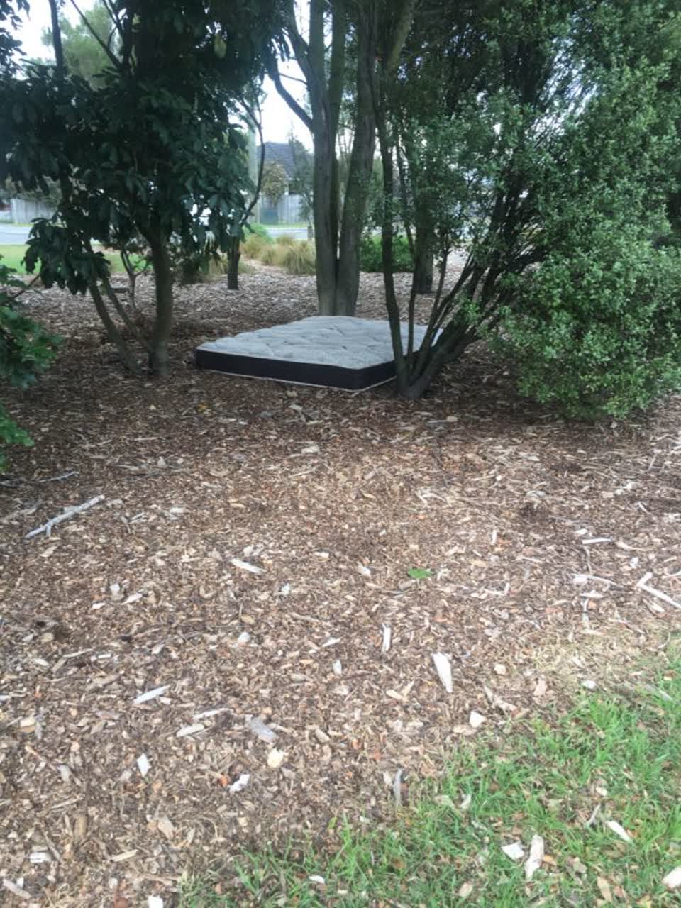The photograph attached to this parks report