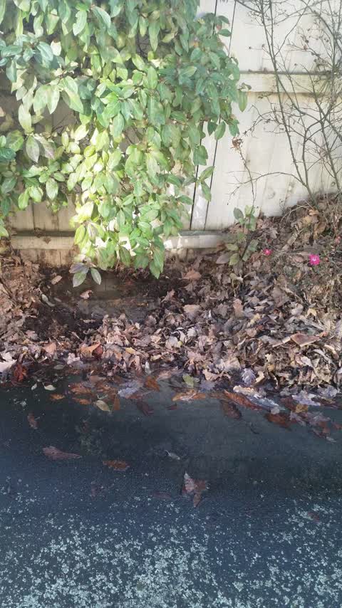 Water Supply, a report photo