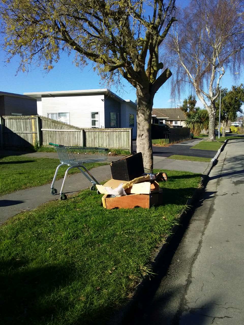 The photograph attached to this rubbish/recycling report