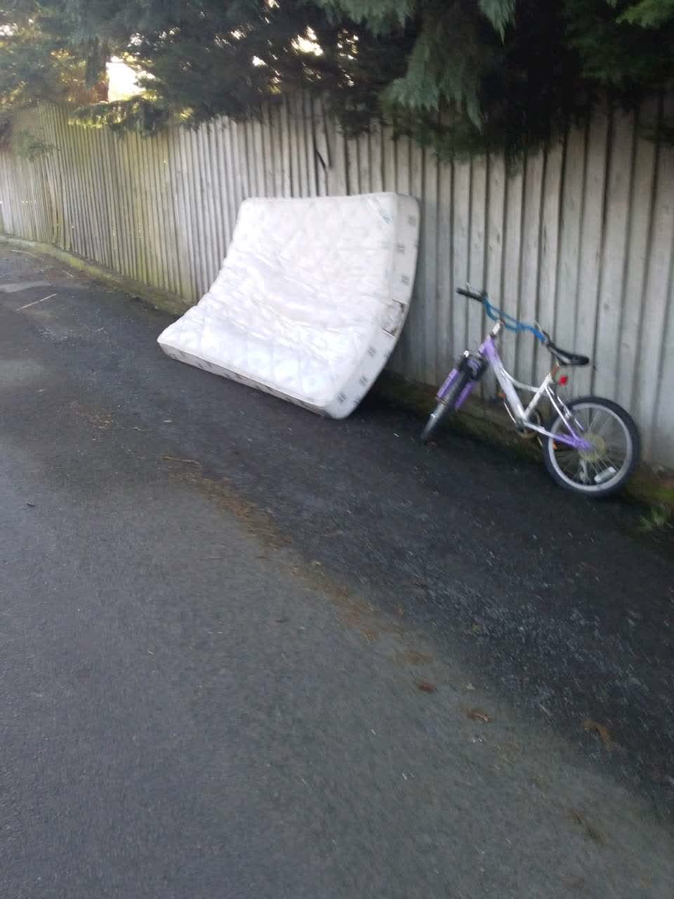 The photograph attached to this rubbish/recycling report