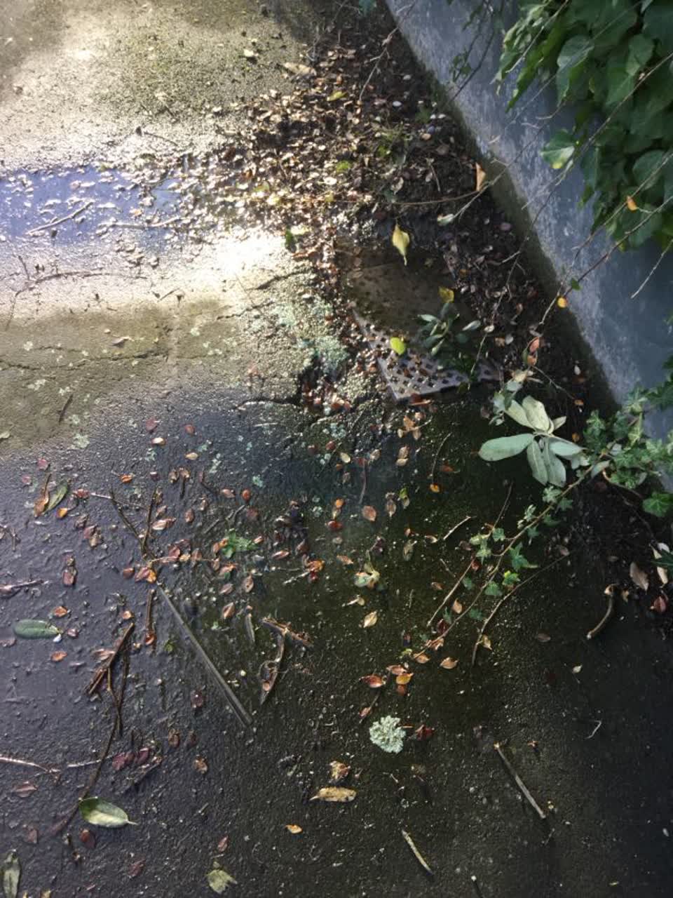 The photograph attached to this water supply report