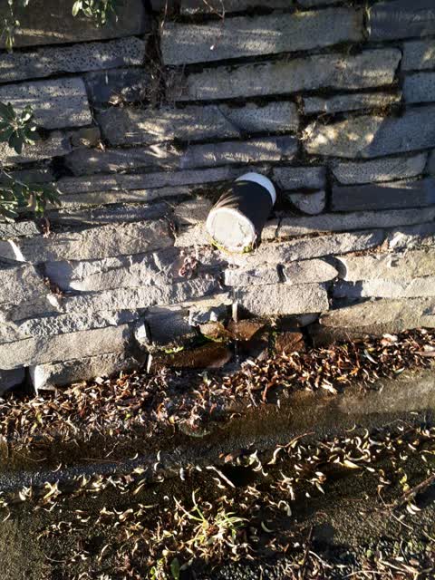 Water Supply, a report photo
