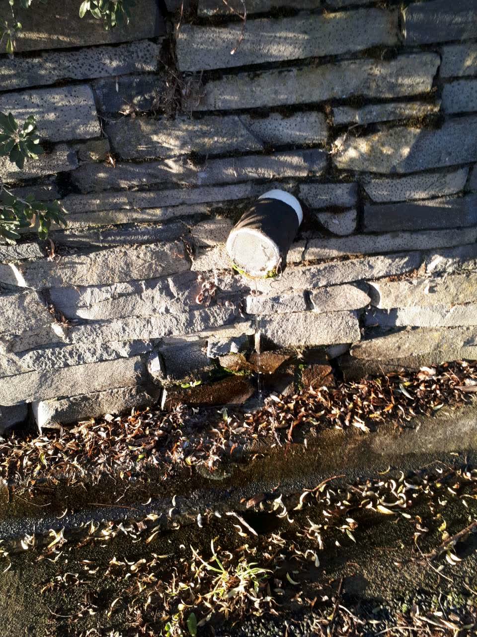 The photograph attached to this water supply report