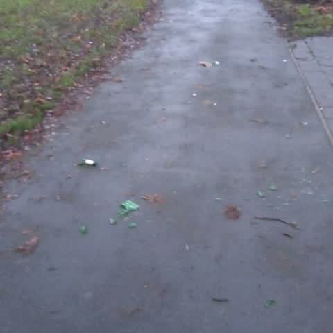 Parks, a report photo