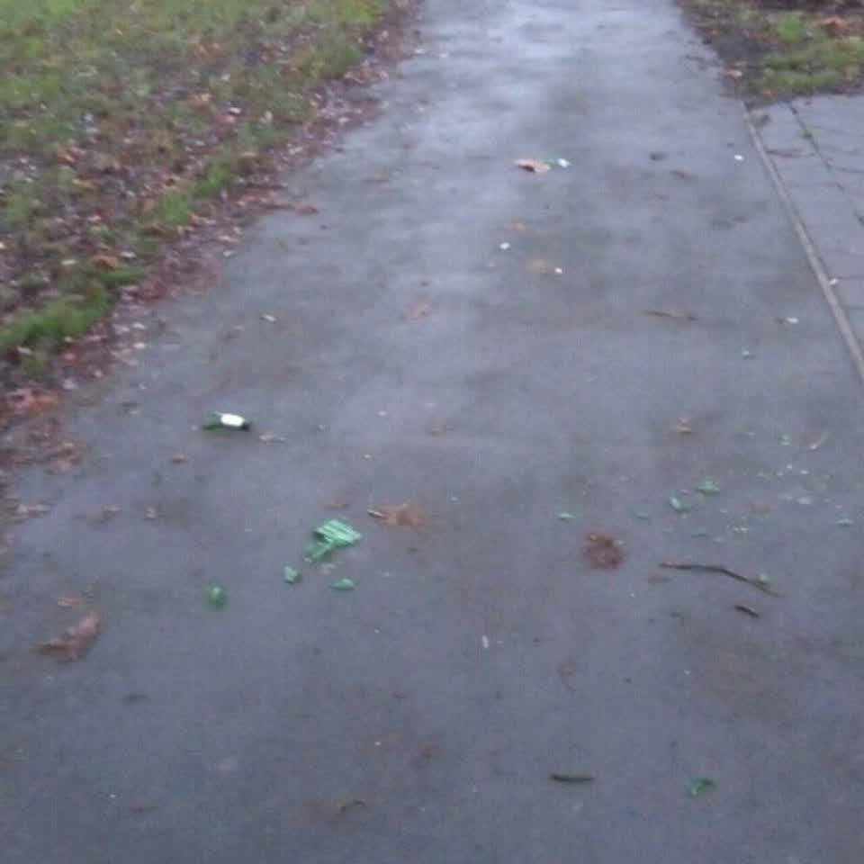 The photograph attached to this parks report