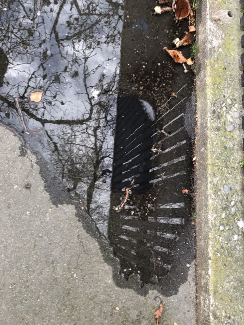 The photograph attached to this water supply report