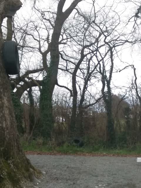 Rubbish/Recycling, a report photo