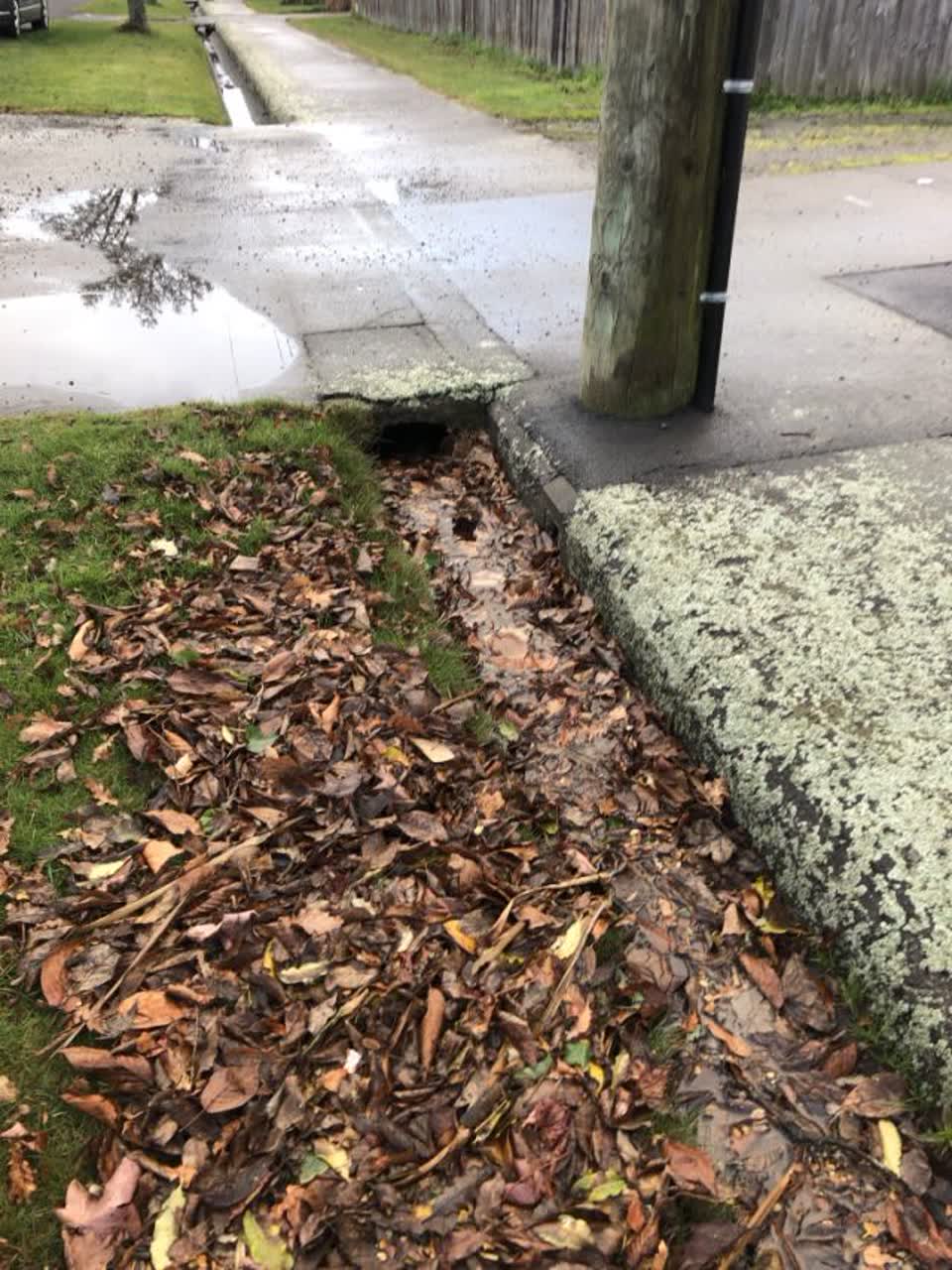 The photograph attached to this wastewater/stormwater report