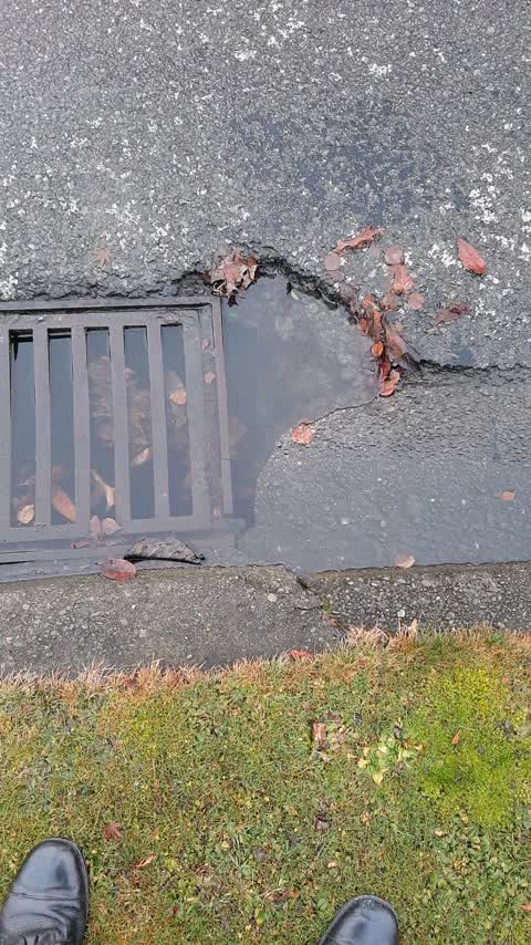 Roading/Streets, a report photo