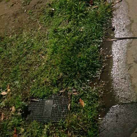 Water Supply, a report photo