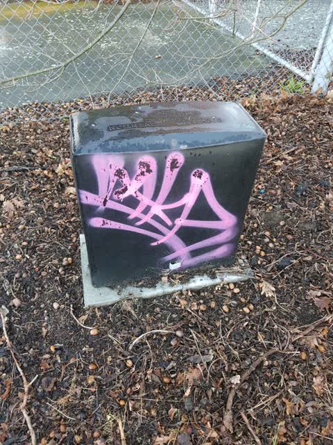 Graffiti — a report photo