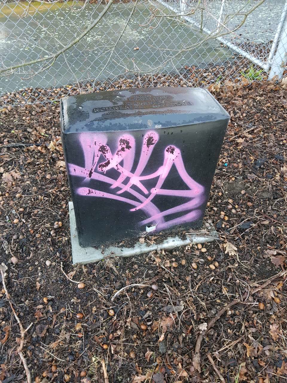 The photograph attached to this graffiti report